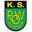 Home team logo