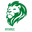 Home team logo