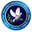 Home team logo