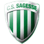 Сажесс logo