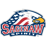 Сагино Спирит logo