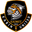 Home team logo