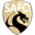 Home team logo