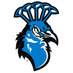 Святого Петра Павлины logo