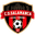 Away team logo