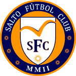 Сальто logo