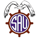 Сан-Антонио Унидо logo