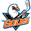 San Diego Gulls