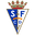 Home team logo