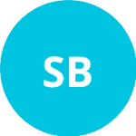 Санчес Бронцетти Э. logo