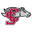 Home team logo