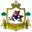 Away team logo