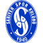 Сарыер logo