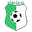 Home team logo