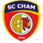 ФК Шам logo
