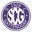Home team logo