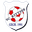 Home team logo