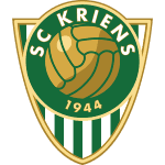 СК Кринс logo