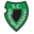 Home team logo