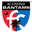 Home team logo