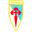 Home team logo
