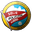Away team logo
