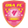 Home team logo