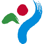 Сеул Сити ЖФК logo
