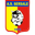 Home team logo