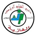 Home Team logo