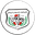 Home team logo