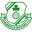 Home team logo