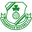 Home team logo