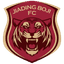 Шанхай Цзядин logo