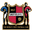 Home team logo