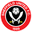 Home team logo