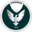 Home team logo