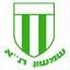 Шимшон Тель Авив logo