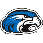 Короче Ястребы logo