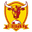 Home team logo
