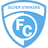 Серебряные Нападающие logo