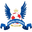 Away team logo