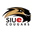 Away team logo
