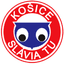 teamLogo