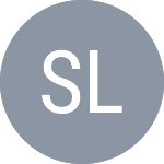 Славикова Э. logo