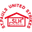 Home team logo