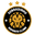 Home team logo