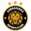 Собрадинью ДФ logo