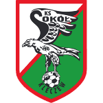 Сокол Клечев logo