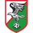 Сокол Клечев logo